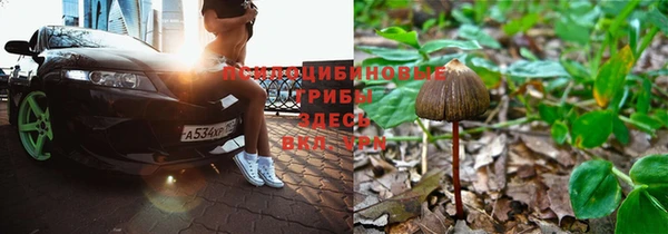 ALPHA PVP Алексеевка