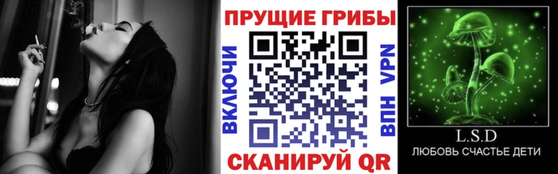 Псилоцибиновые грибы Psilocybine cubensis  Жуковка 